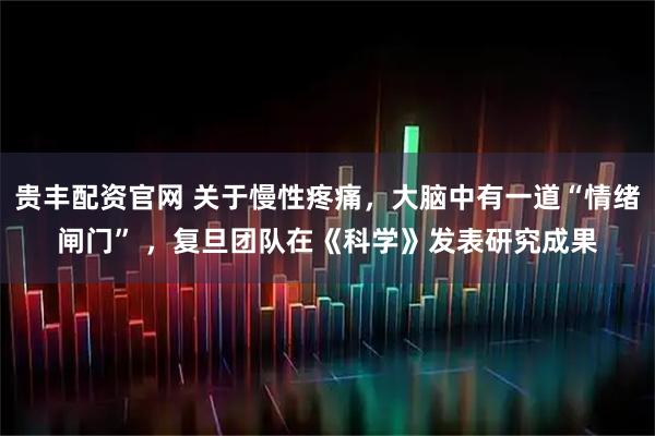 贵丰配资官网 关于慢性疼痛，大脑中有一道“情绪闸门” ，复旦团队在《科学》发表研究成果