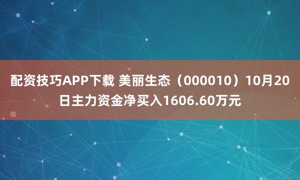 配资技巧APP下载 美丽生态(000010)10月20日主力资金净买入1606.60万元